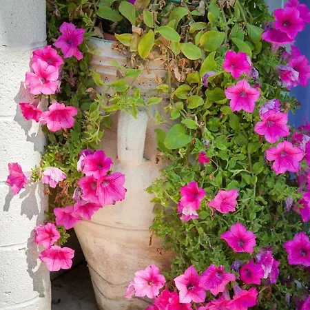 Verdemare Campsite Torino di Sangro