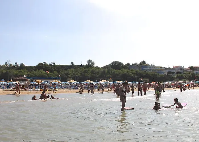 Verdemare Kamp alanı