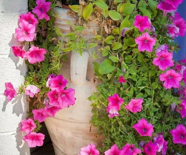 Verdemare Κάμπινγκ Torino di Sangro